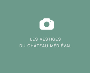 Les vestiges du Château